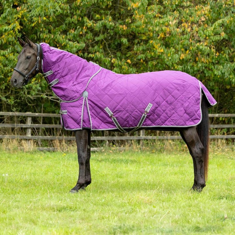 DefenceX Shield 100g Stable Rug with Detachable Neck image 1
